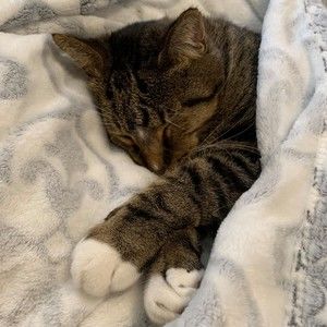 Meet your Posher, Chrîstînê